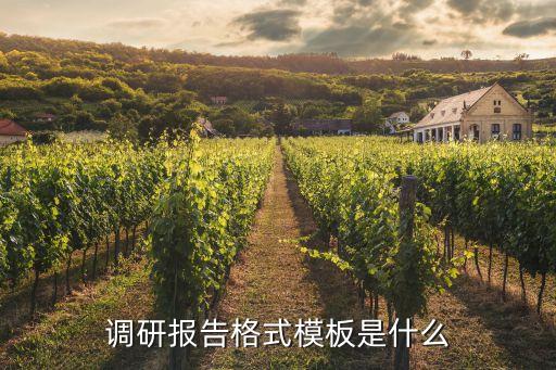調研報告基本格式，調查報告的標準格式