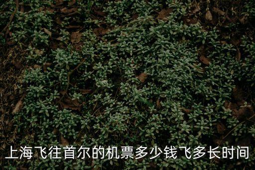 上海市首爾炭烤屋機場店，到Evchain Parkside首爾EV公寓九老店是金浦機場方便還是仁川機