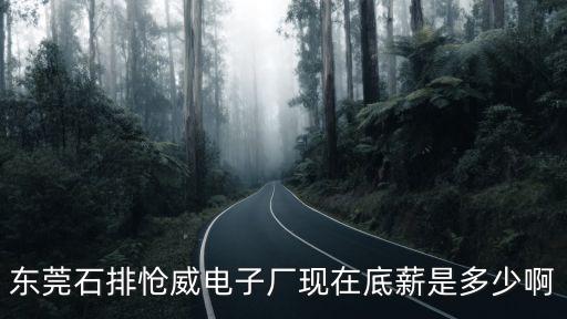 東莞石排氣派科技工資，東莞石排愴威電子廠現(xiàn)在底薪是多少啊