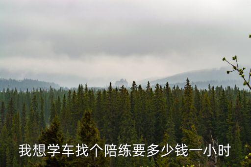 我想學(xué)車找個陪練要多少錢一小時