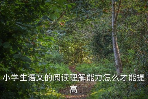 小學生語文的閱讀理解能力怎么才能提高