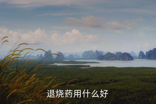 退熱藥，退燒藥退燒藥有哪些
