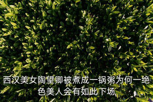 陶望卿，西漢美女陶望卿被煮成一鍋粥為何一絕色美人會有如此下場