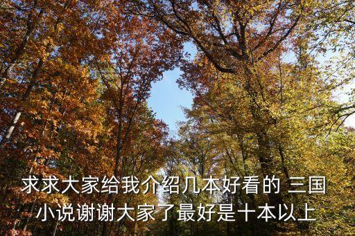 求求大家給我介紹幾本好看的 三國 小說謝謝大家了最好是十本以上