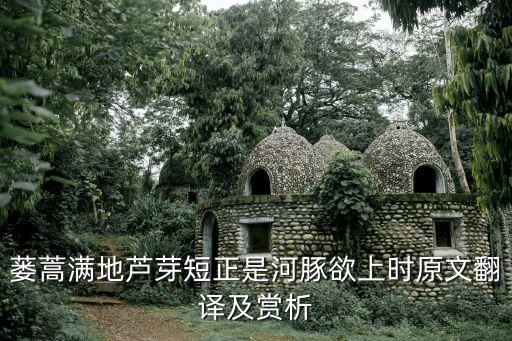 蔞蒿滿地，蔞蒿滿地蘆芽短 正是河豚欲上時的意思