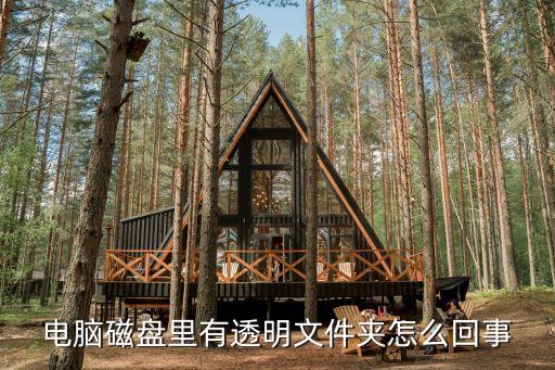 電腦磁盤里有透明文件夾怎么回事