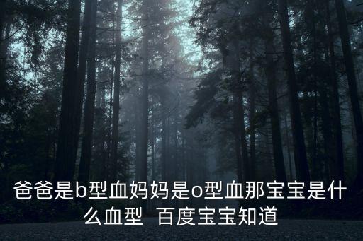爸爸是b型血媽媽是o型血那寶寶是什么血型  百度寶寶知道