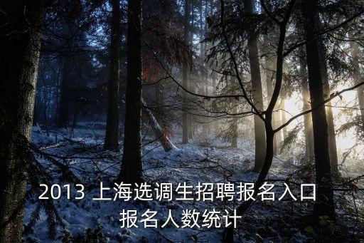 2013 上海選調(diào)生招聘報名入口 報名人數(shù)統(tǒng)計