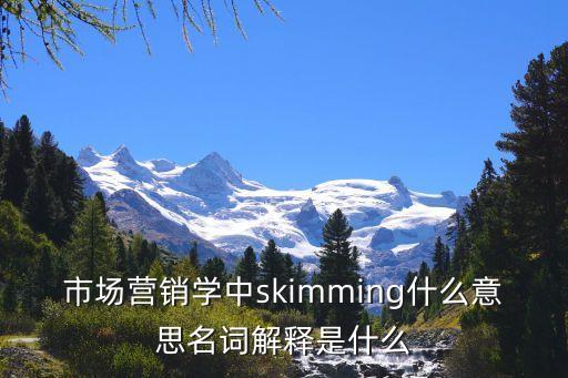 市場營銷學中skimming什么意思名詞解釋是什么