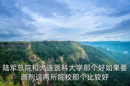 陸軍總院和大連醫科大學那個好如果要調劑這兩所院校那個比較好