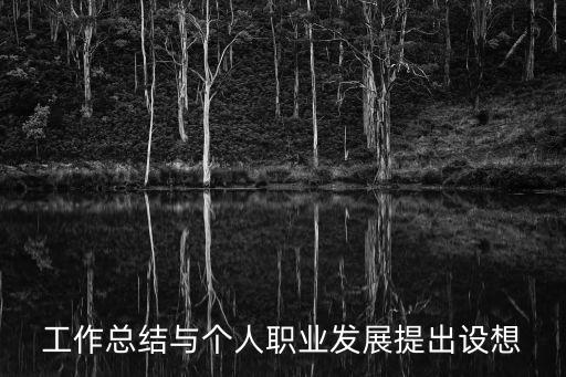 工作總結與個人職業發展提出設想