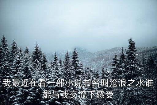 滄浪之水讀后感，讀有感