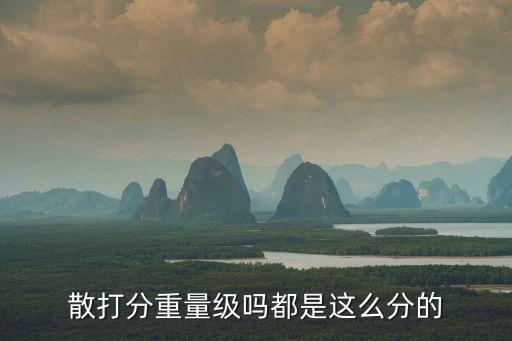 拳擊重量級劃分，拳擊比賽是以什么來劃分級別的
