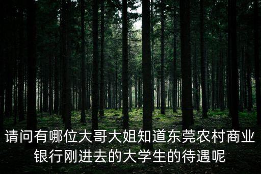 東莞銀行 年終獎，東莞銀行柜員一個月多少錢年終獎有多少
