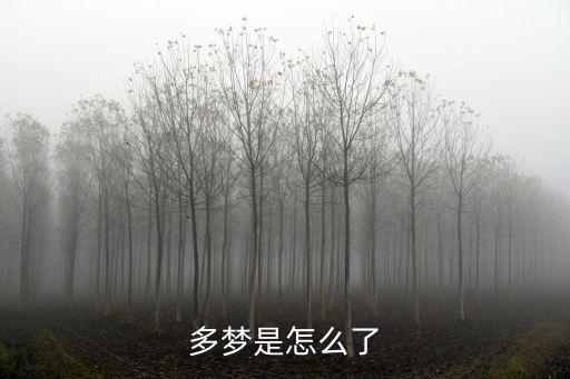多夢是怎么了