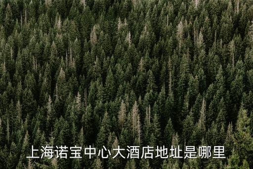 上海諾寶中心大酒店地址是哪里