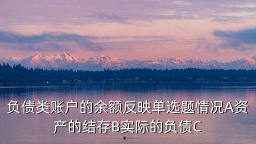 負債類賬戶的余額反映單選題情況A資產的結存B實際的負債C