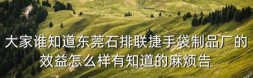 大家誰知道東莞石排聯捷手袋制品廠的效益怎么樣有知道的麻煩告