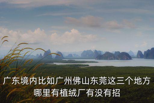 東莞植絨布廠家，廣東境內(nèi)比如廣州佛山東莞這三個地方哪里有植絨廠有沒有招