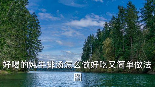 牛排湯的做法大全，家常牛排湯怎么做