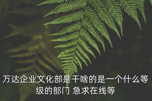 萬達企業文化，萬達企業文化好