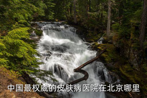 中國最權威的皮膚病醫院在北京哪里