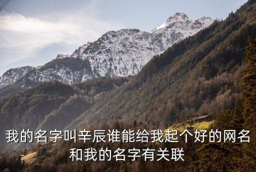 我的名字叫辛辰誰(shuí)能給我起個(gè)好的網(wǎng)名和我的名字有關(guān)聯(lián)