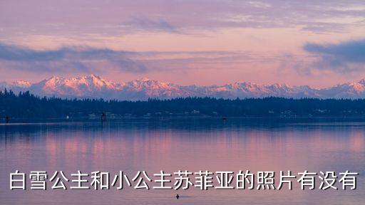 白雪公主和小公主蘇菲亞的照片有沒有
