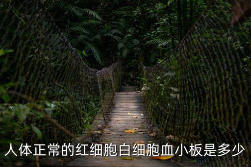 人體正常的紅細胞白細胞血小板是多少