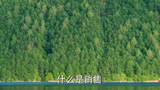 什么是銷售