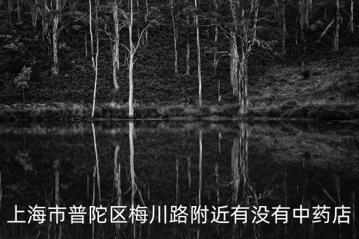 上海市普陀區梅川路附近有沒有中藥店