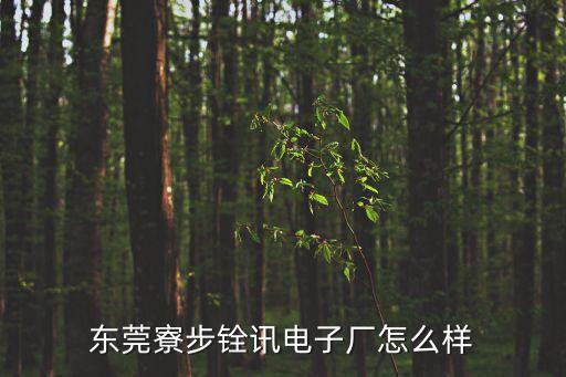 廣東東莞銓訊廠圖片，東莞寮步銓訊電子廠有多少員工 現在還招普工嗎 男的要不要啊