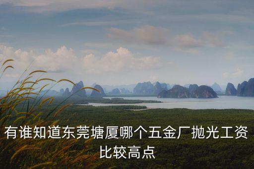 有誰知道東莞塘廈哪個五金廠拋光工資比較高點