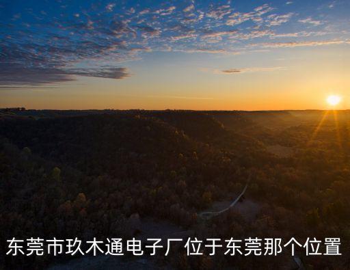東莞市玖木通電子廠位于東莞那個(gè)位置