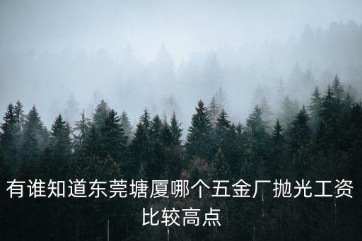 有誰知道東莞塘廈哪個(gè)五金廠拋光工資比較高點(diǎn)