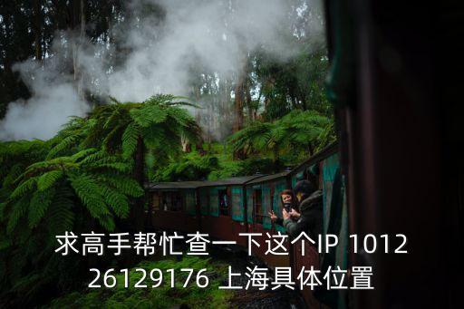 求高手幫忙查一下這個IP 101226129176 上海具體位置