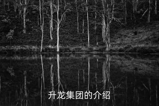 升龍集團的介紹