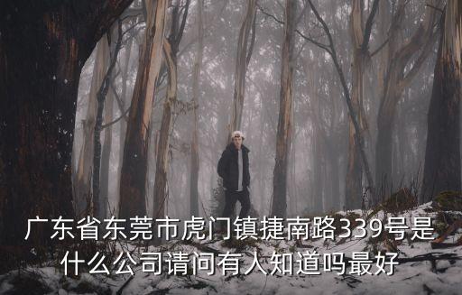 廣東省東莞市虎門鎮捷南路339號是什么公司請問有人知道嗎最好