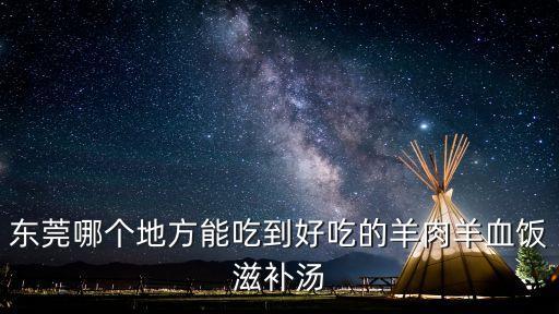 東莞哪個地方能吃到好吃的羊肉羊血飯滋補湯