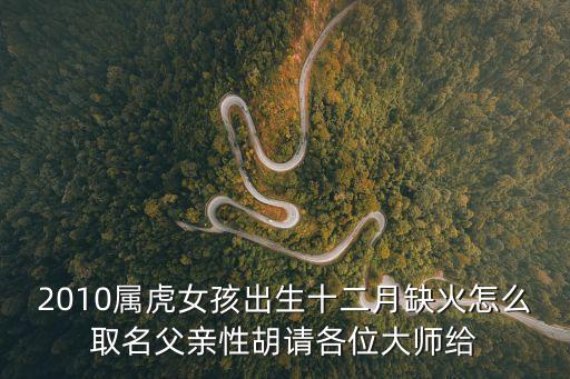 2010屬虎女孩出生十二月缺火怎么取名父親性胡請各位大師給