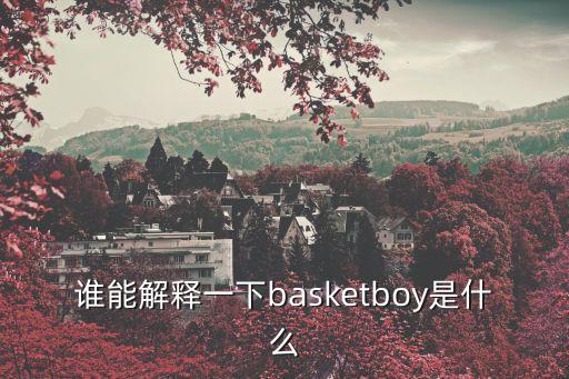 誰能解釋一下basketboy是什么
