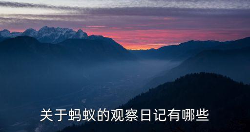 關(guān)于螞蟻的觀察日記有哪些