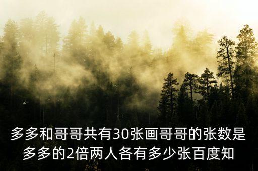 多多和哥哥共有30張畫哥哥的張數是多多的2倍兩人各有多少張百度知