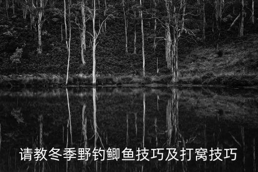 請教冬季野釣鯽魚技巧及打窩技巧