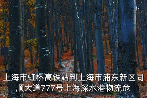 上海市虹橋高鐵站到上海市浦東新區同順大道777號上海深水港物流危