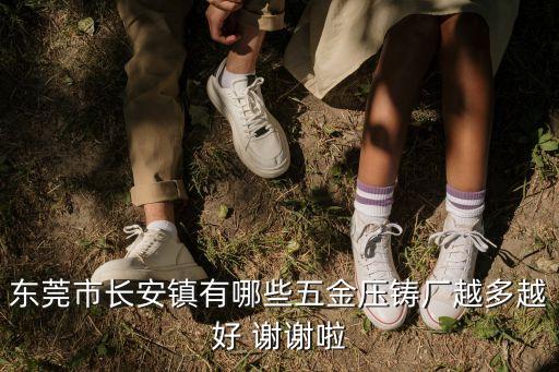 廣東東莞安冉壓鑄廠，東莞有哪些大點的壓鑄廠