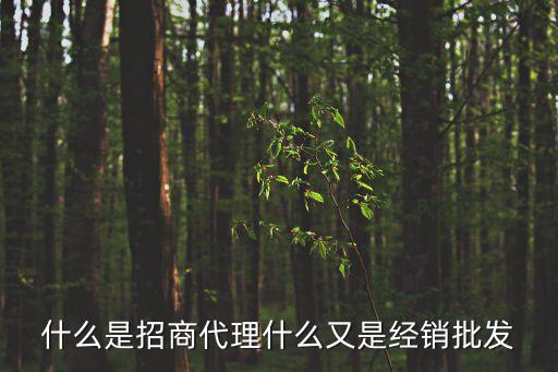 什么是招商代理什么又是經銷批發
