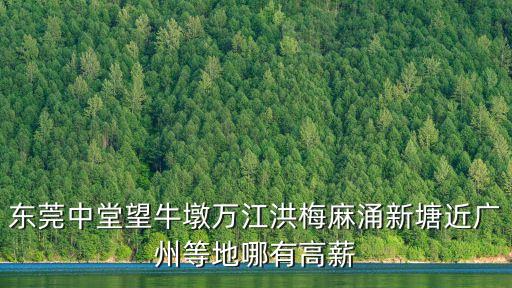 東莞中堂望牛墩萬(wàn)江洪梅麻涌新塘近廣州等地哪有高薪