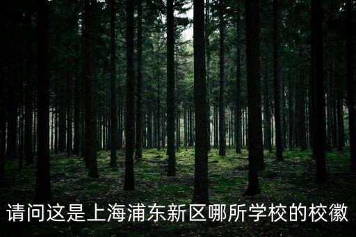 請(qǐng)問(wèn)這是上海浦東新區(qū)哪所學(xué)校的校徽