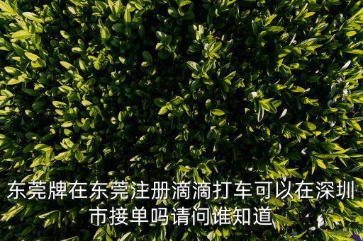 東莞注冊滴滴，湖南牌可以在東莞注冊滴滴打車嗎